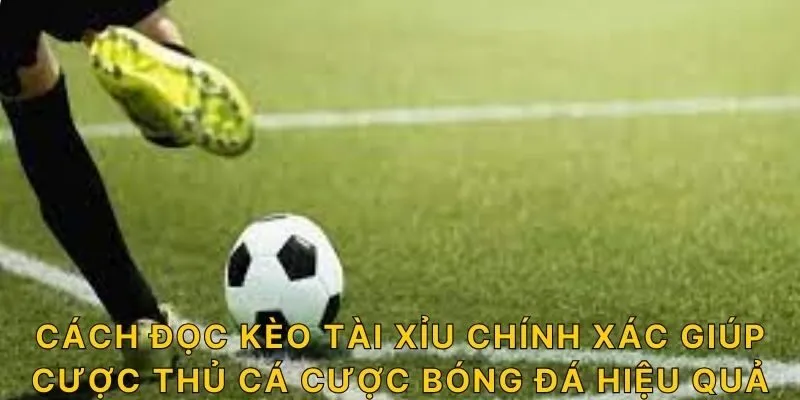 Cách đọc kèo tài xỉu chính xác giúp cược thủ cá cược bóng đá hiệu quả