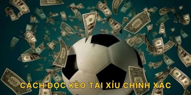 Cách đọc kèo tài xỉu chính xác