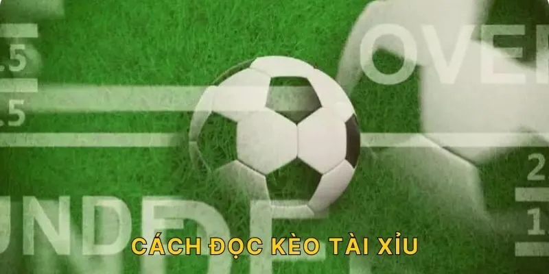 Cách Đọc Kèo Tài Xỉu Bóng Đá Chính Xác Nhất Dành Cho Tân Thủ
