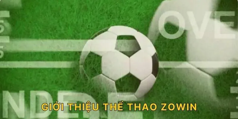 GIỚI THIỆU THỂ THAO ZOWIN