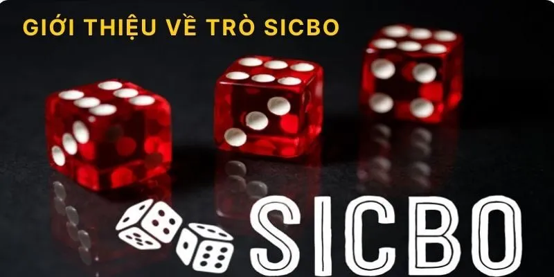 Hướng Dẫn Luật Chơi Sicbo Cơ Bản Cho Người Mới Bắt Đầu