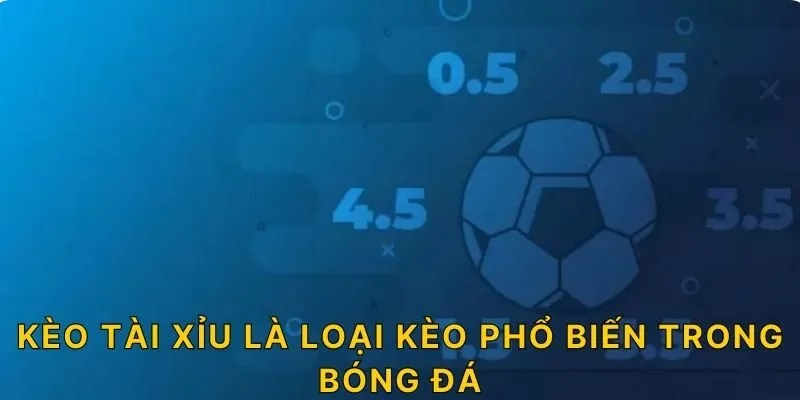 Kèo tài xỉu là loại kèo phổ biến trong bóng đá